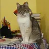 Отзыв от Мария Куликова